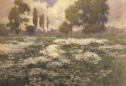 Field of Daisies unknow artist